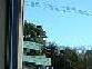 Dscf00141x2.jpg