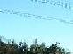 Dscf00141x3.jpg