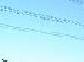 Dscf00141x4.jpg
