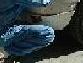 Dscf00144x2.jpg