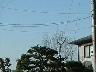 Dscf00181x2.jpg