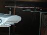 Dscf00223x4.jpg