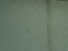 Dscf00231x1.jpg