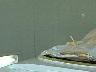 Dscf00232x2.jpg