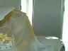 Dscf00232x4.jpg