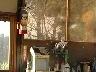Dscf00252x2.jpg